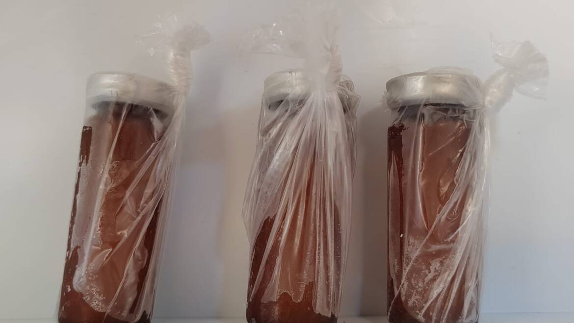 Matična mliječ u trudnoći